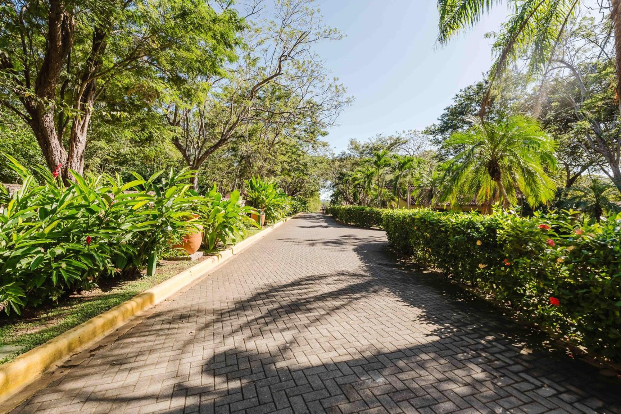 Papagayo Golden Palms Beachfront Hotel Panama ภายนอก รูปภาพ